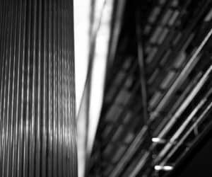 lines